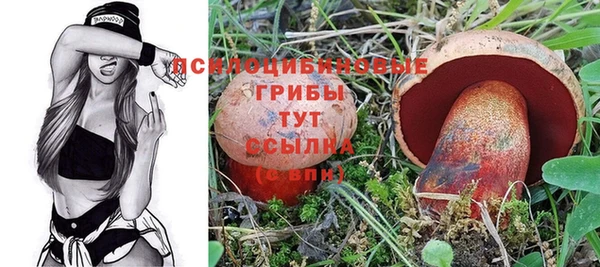 СК Волоколамск