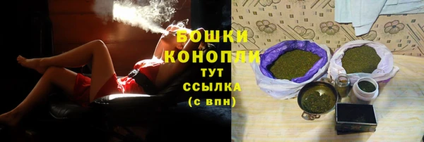 СК Волоколамск