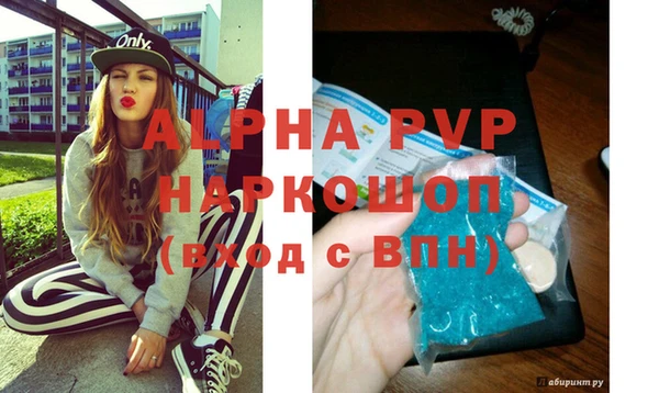 СК Волоколамск
