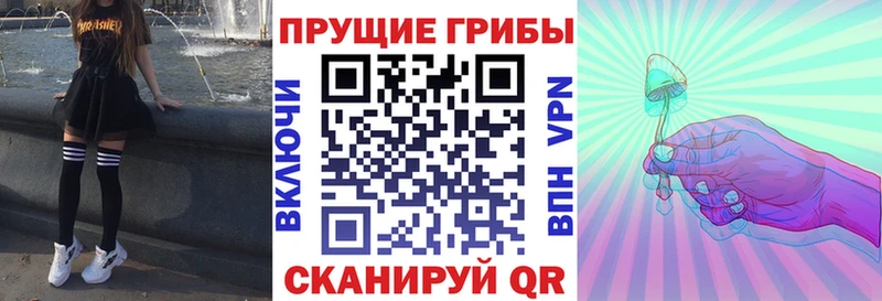Галлюциногенные грибы Psilocybine cubensis  Купить закладки  Кольчугино 